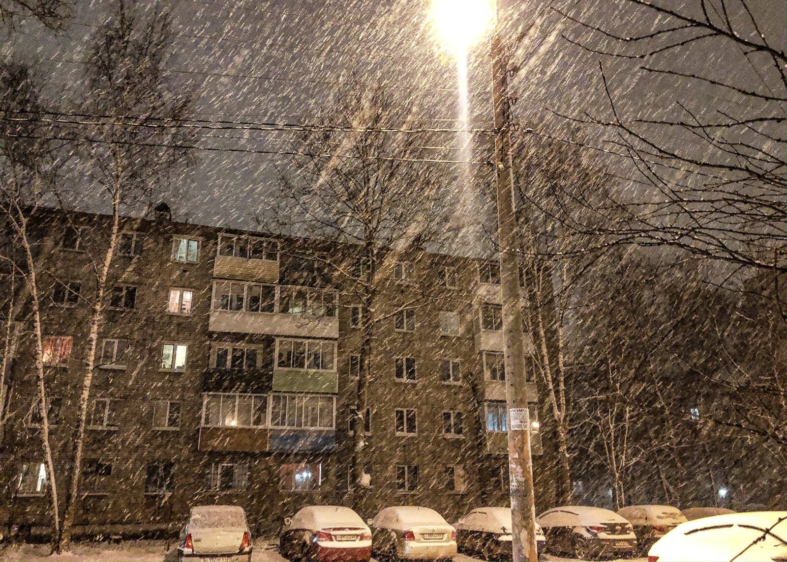 Февраль в Твери тоже побьет все температурные рекорды Февраль в Твери тоже побьет все температурные рекорды