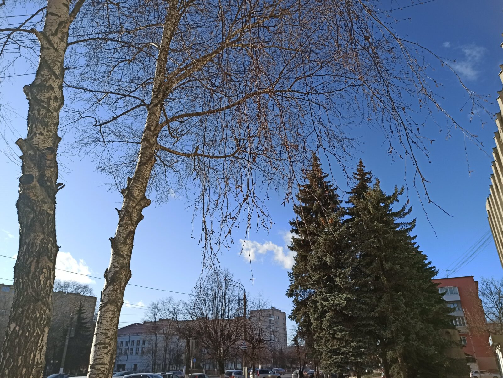 В тверском Гидрометцентре рассказали, ждать ли снега В тверском Гидрометцентре рассказали, ждать ли снега