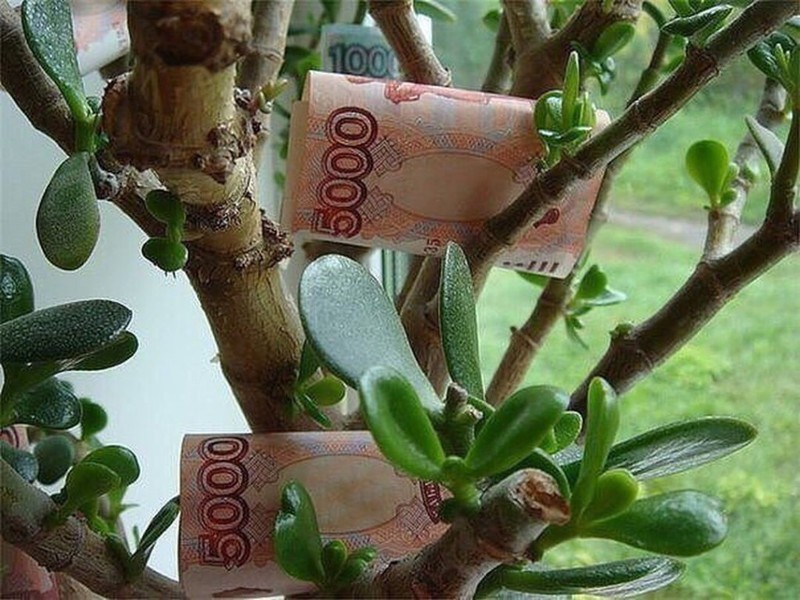 Стало известно, где хранят деньги жители Тверской области Стало известно, где хранят деньги жители Тверской области