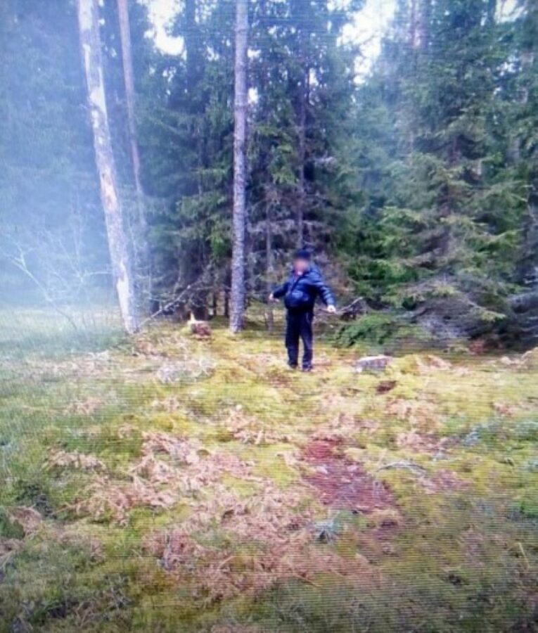 Житель Тверской области спилил 59 деревьев и попался полицейским Житель Тверской области спилил 59 деревьев и попался полицейским