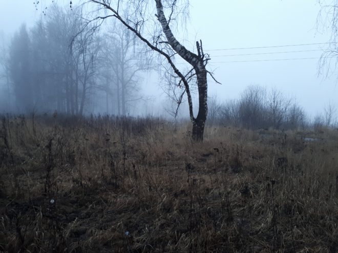 На Тверскую область опустился густой туман
