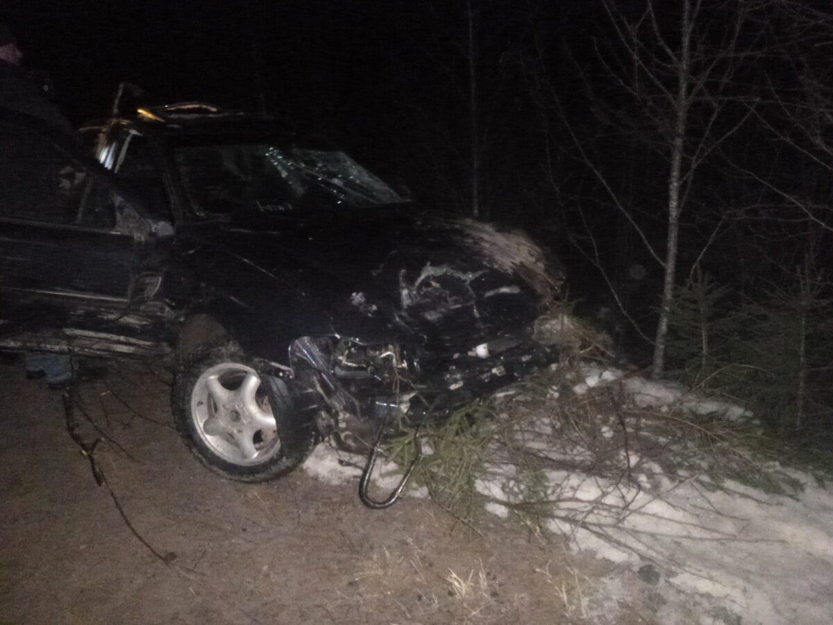 Два человека погибли в перевернувшемся в Тверской области автомобиле