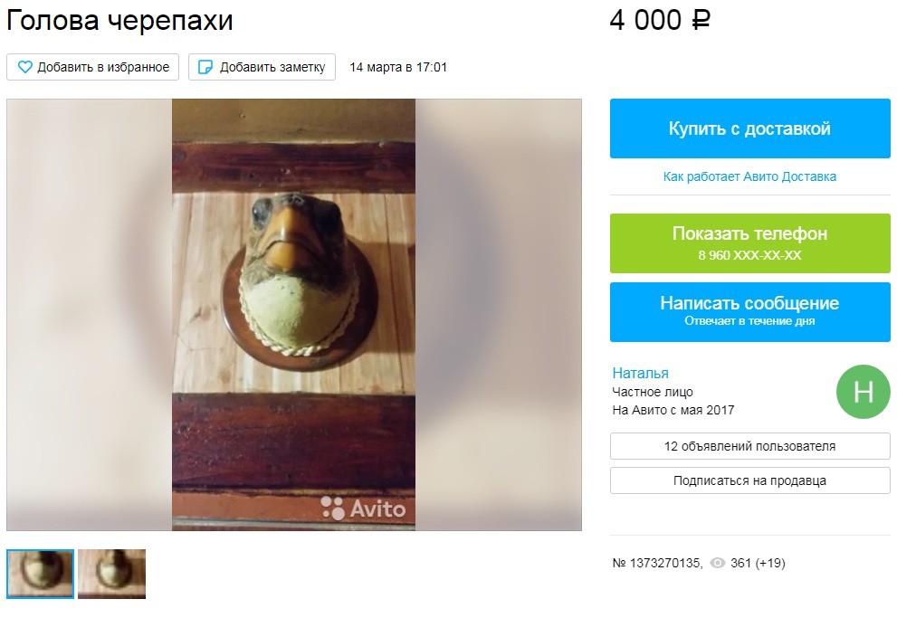 Тверитянка продает на Авито голову морской черепахи Тверитянка продает на Авито голову морской черепахи