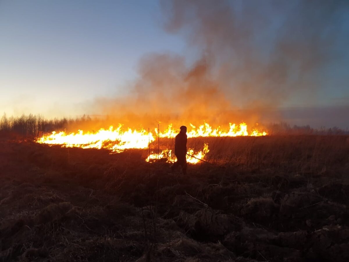 В Тверской области 10 часов не могли потушить пожар на поле В Тверской области 10 часов не могли потушить пожар на поле
