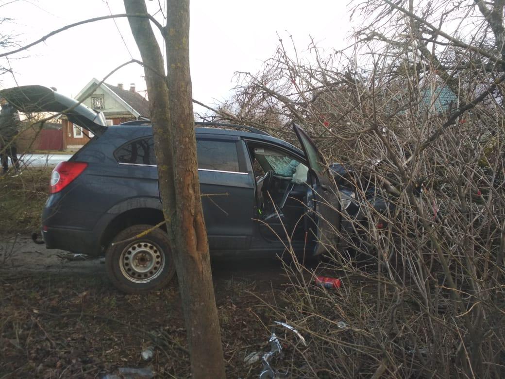 В ДТП на трассе М-10 в Тверской области погибли два водителя