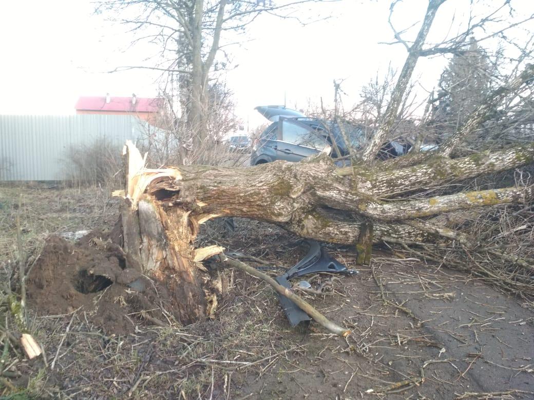 В ДТП на трассе М-10 в Тверской области погибли два водителя