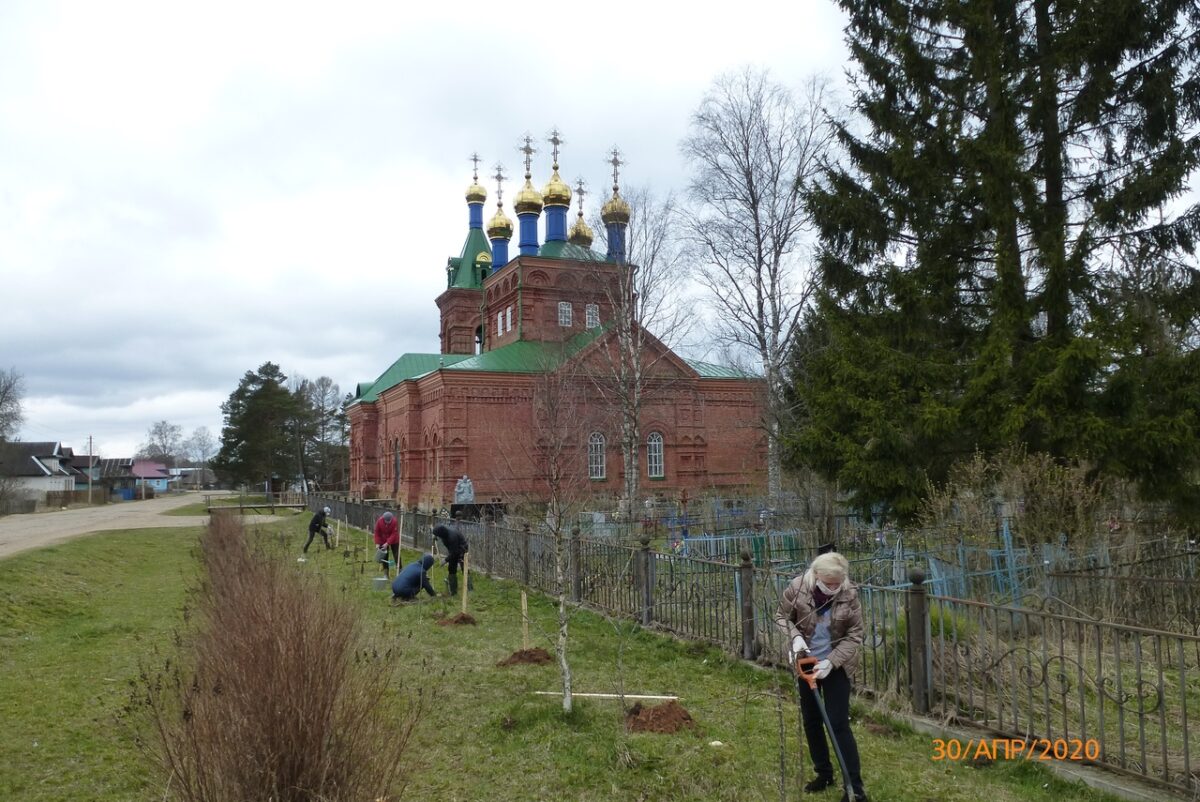 У восстанавливаемого храма в Тверской области высадили яблони У восстанавливаемого храма в Тверской области высадили яблони