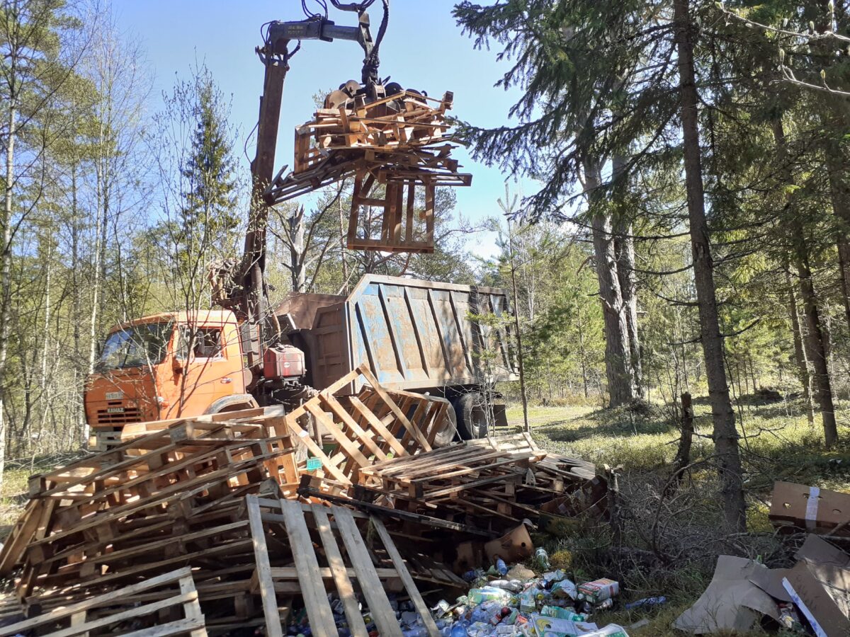 Главу поселения в Тверской области заставили убрать свалку Главу поселения в Тверской области заставили убрать свалку