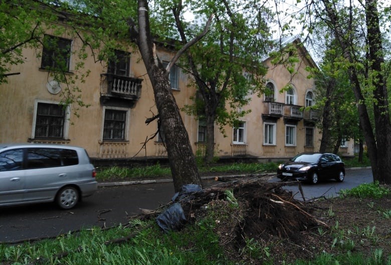 Из-за сильного ветра в Твери падают деревья и ломаются светофоры Из-за сильного ветра в Твери падают деревья и ломаются светофоры