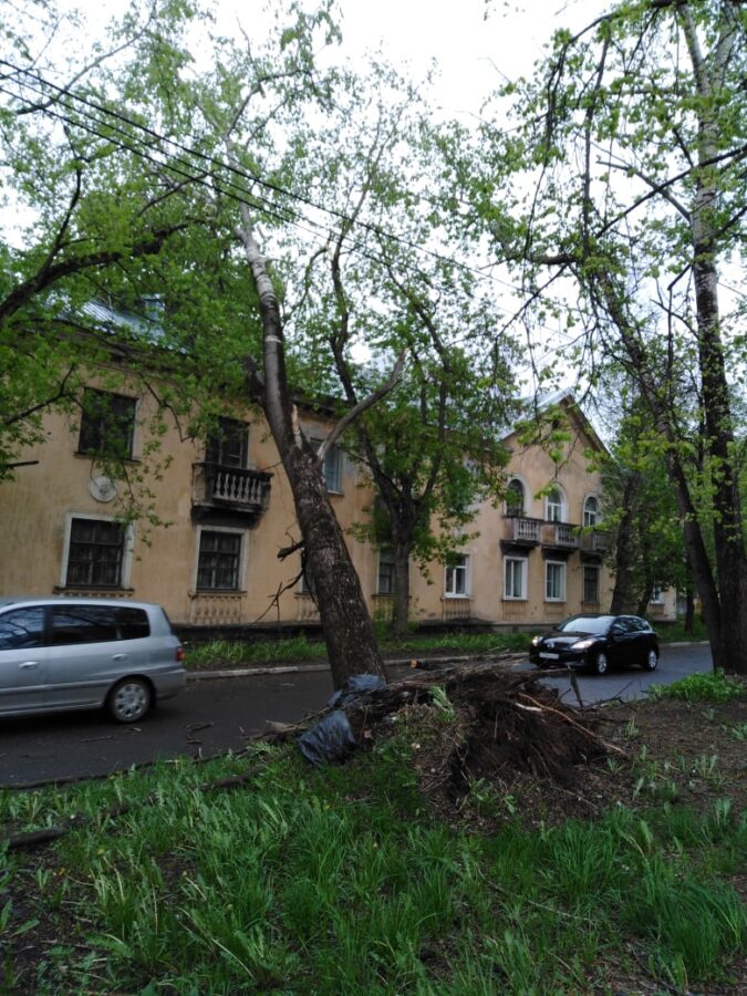 Из-за сильного ветра в Твери падают деревья и ломаются светофоры