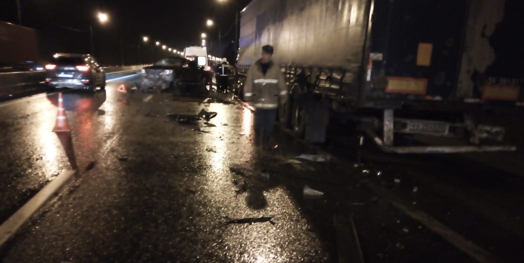 Женщина погибла под Тверью из-за выбежавшего на трассу лося Женщина погибла под Тверью из-за выбежавшего на трассу лося
