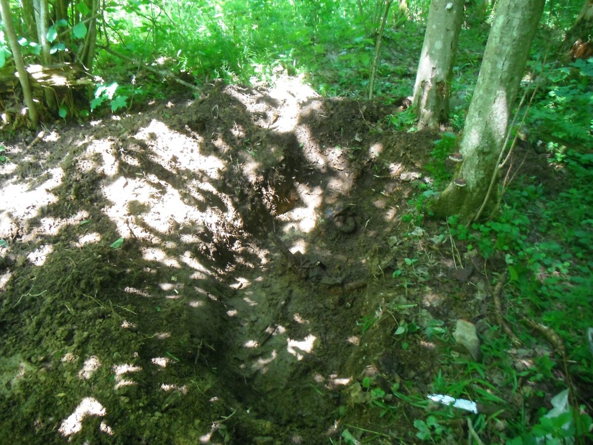 Останки еще одного солдата Великой Отечественной нашли в Тверской области Останки еще одного солдата Великой Отечественной нашли в Тверской области