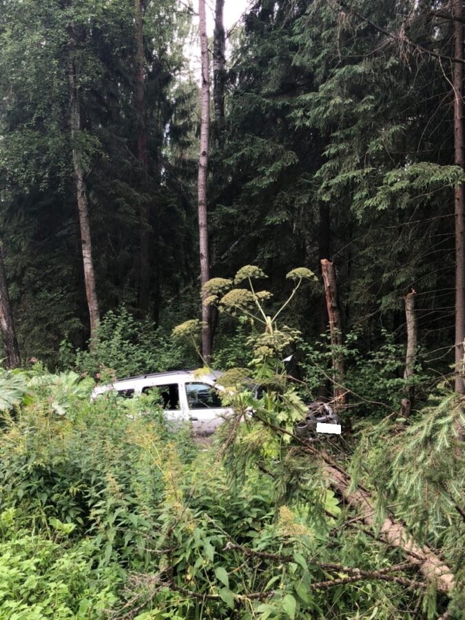 Опубликованы фотографии с места тройного ДТП с пострадавшим под Тверью