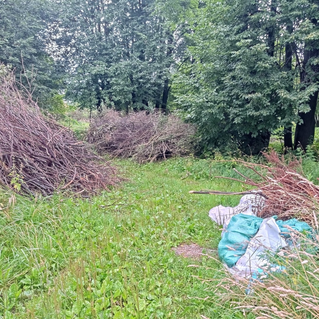 Неравнодушных жителей Твери просят помочь с вывозом мусора с Волынского кладбища