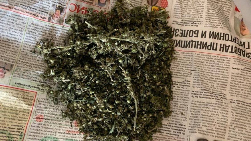 33-летний мужчина из Тверской области хранил дома коноплю и марихуану 33-летний мужчина из Тверской области хранил дома коноплю и марихуану