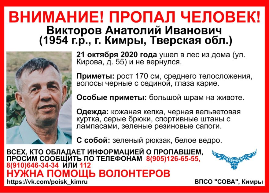 Грибник со шрамом на животе не вернулся из леса в Тверской области Грибник со шрамом на животе не вернулся из леса в Тверской области