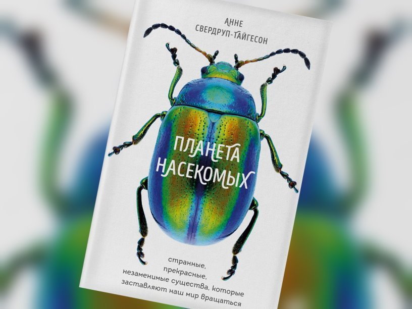 «Легко ли плыть в сиропе?»: топ новых книг на выходные от «Читателя Толстова»