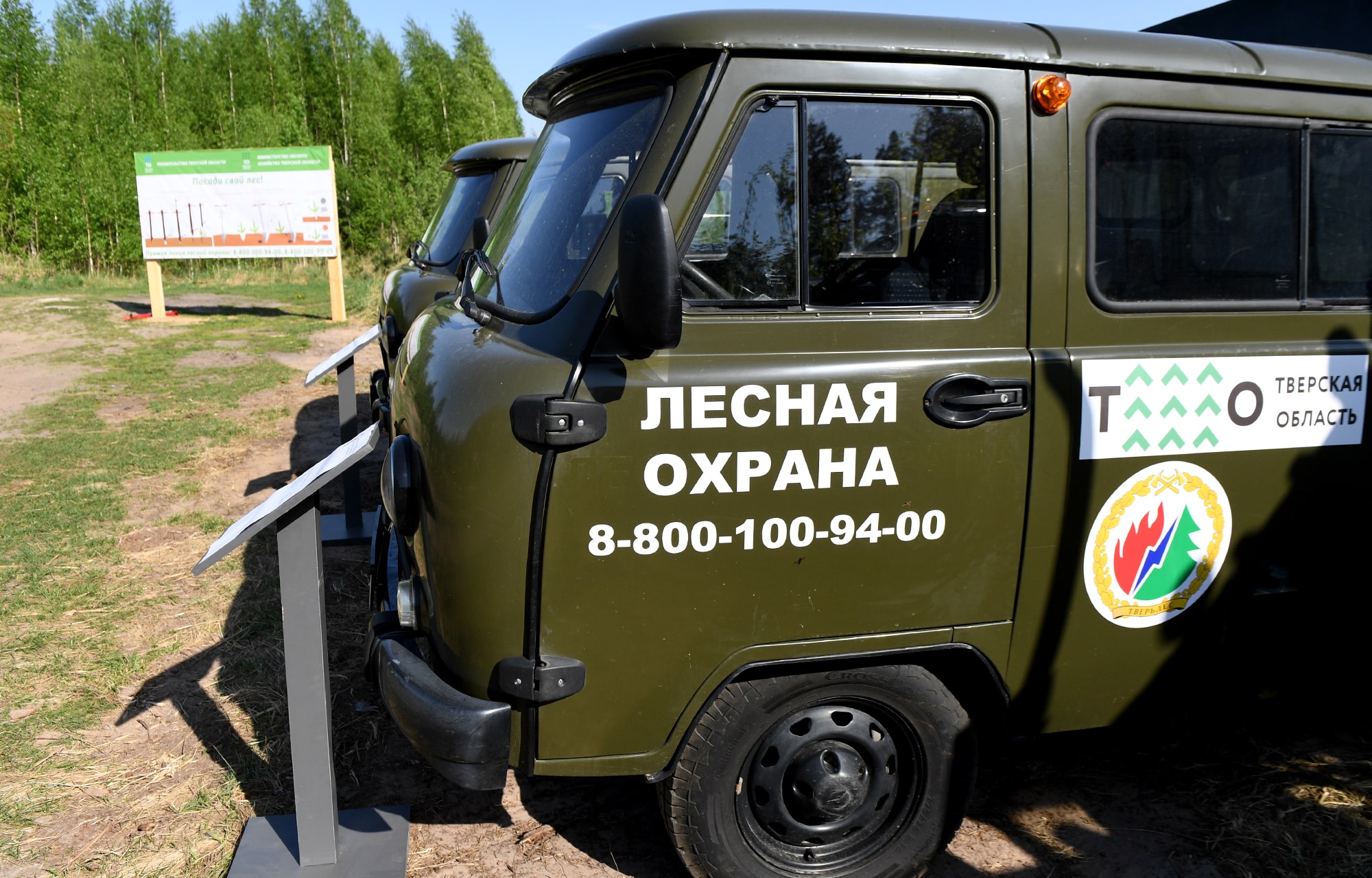 Губернатор со школьниками и студентами высадил 3 тысячи сеянцев ели