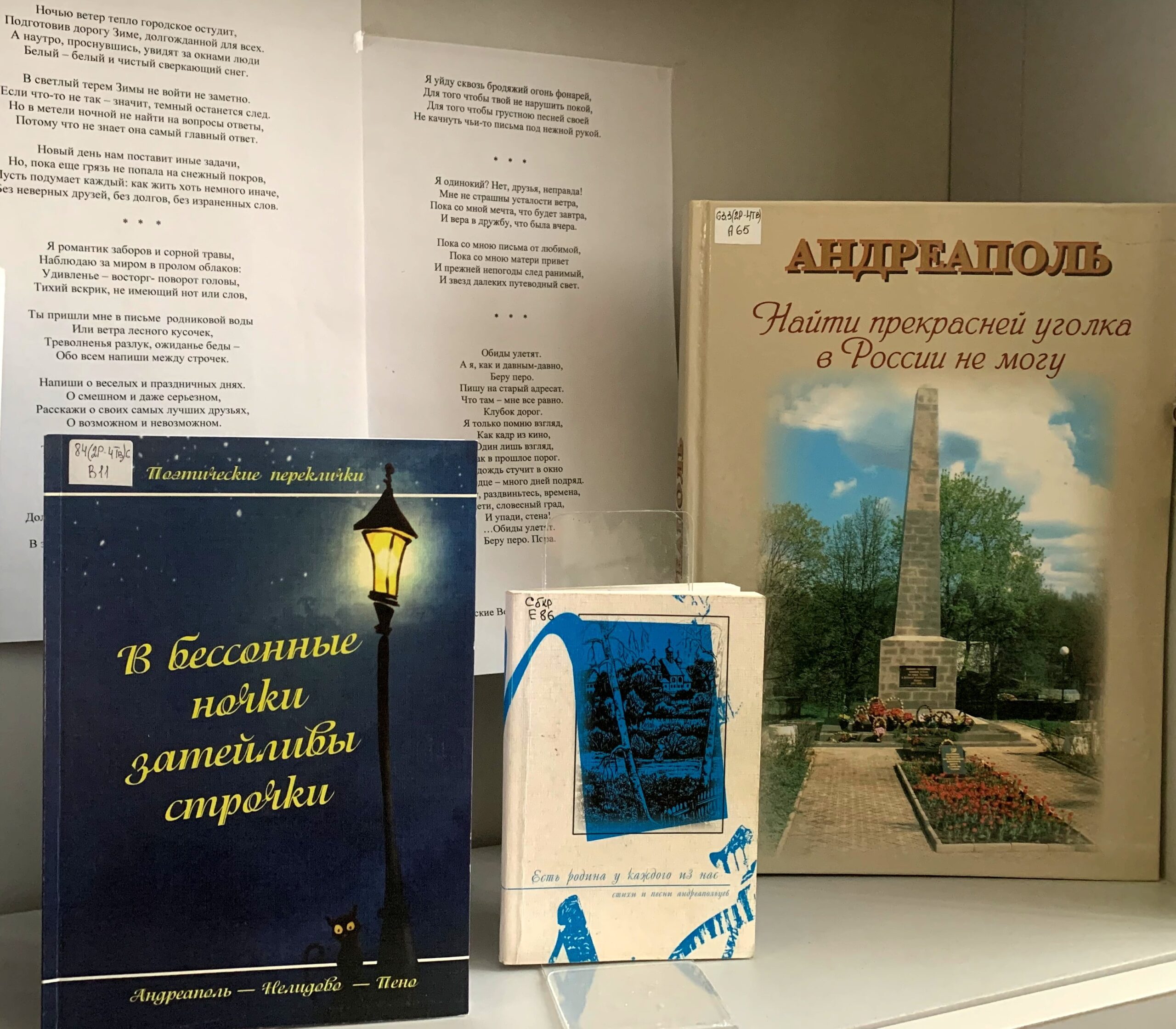 Хранитель истории Андреаполя: директору краеведческого музея исполнилось 50 лет