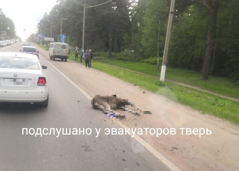 Тверь Вк Подслушано