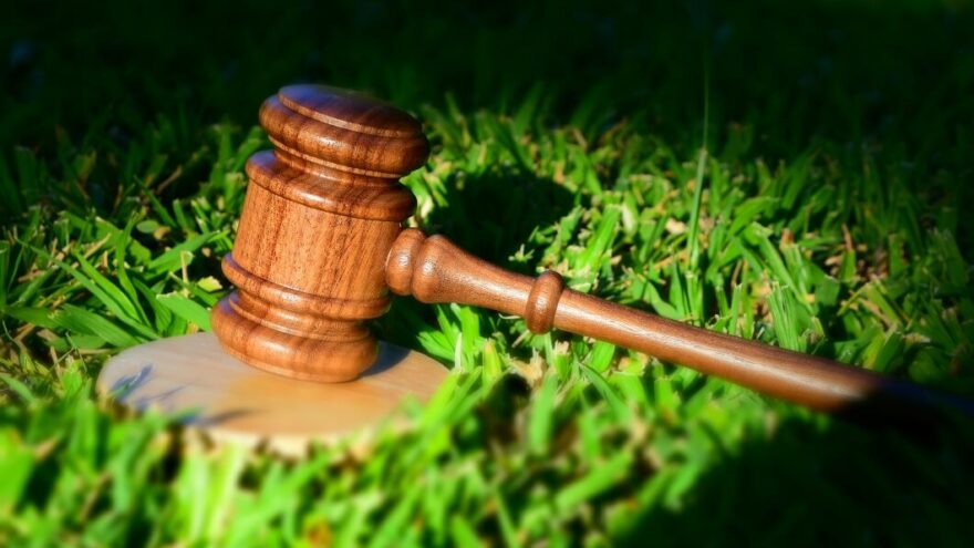 В Тверской области не устранено зарастание и загрязнение 340 гектаров сельскохозяйственных угодий В Тверской области не устранено зарастание и загрязнение 340 гектаров сельскохозяйственных угодий