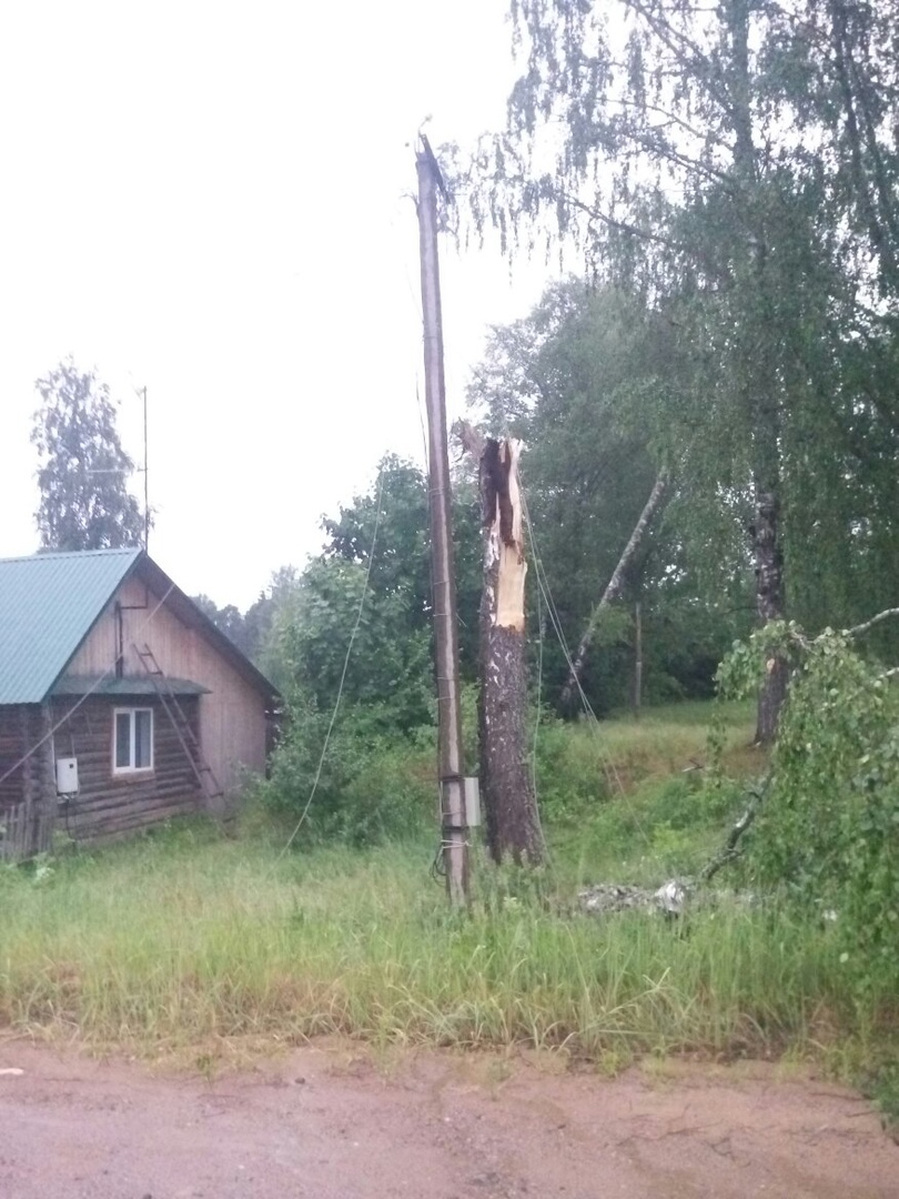 Ураган в Тверской области повалил деревья и оставил жителей без света