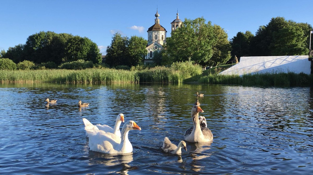 Река гусь фото