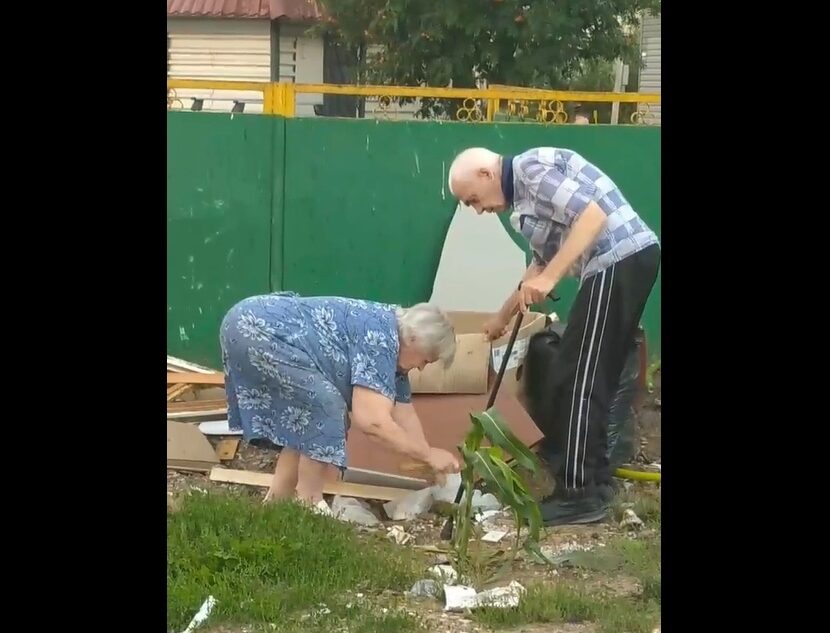 Прокуратура заинтересовалась жителями Тверской области, жестоко убивавшими котят Прокуратура заинтересовалась жителями Тверской области, жестоко убивавшими котят