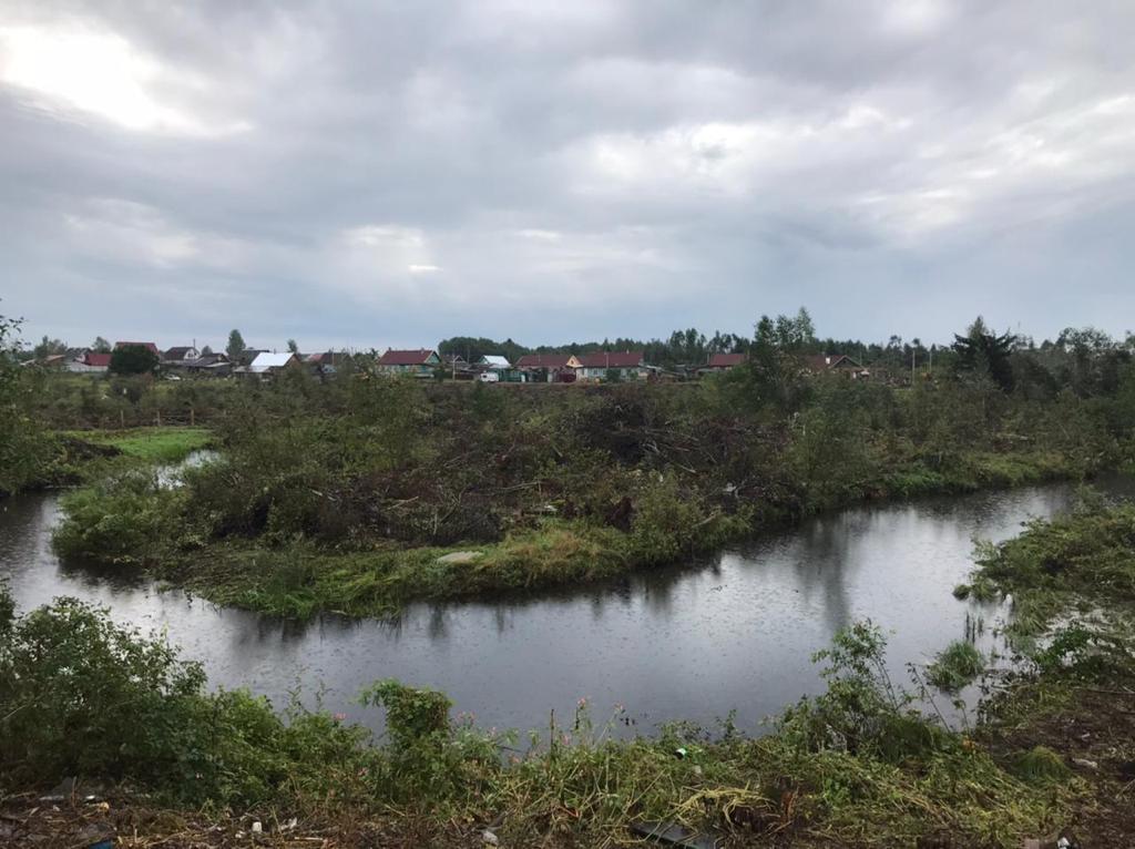 В Андреаполе начали расчищать русло реки Городня