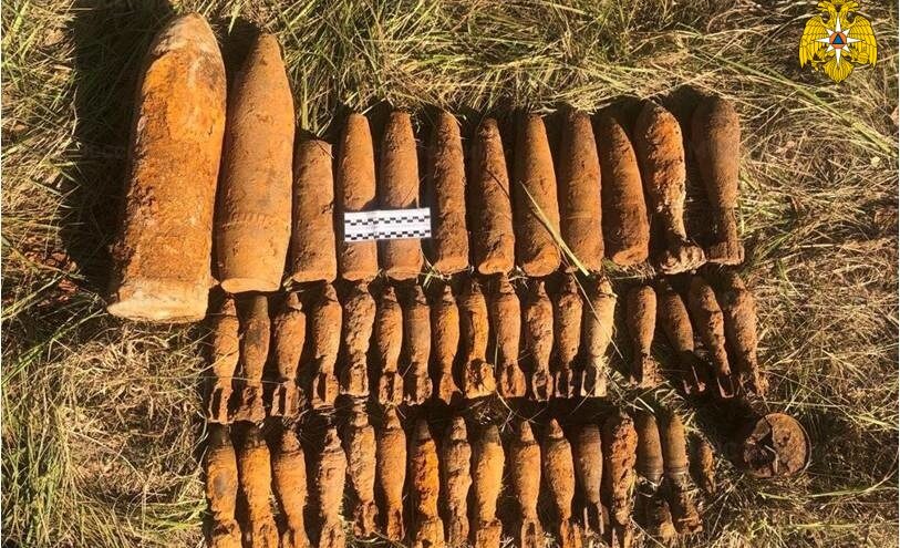 За день пиротехники нашли в Тверской области 48 взрывоопасных предметов За день пиротехники нашли в Тверской области 48 взрывоопасных предметов
