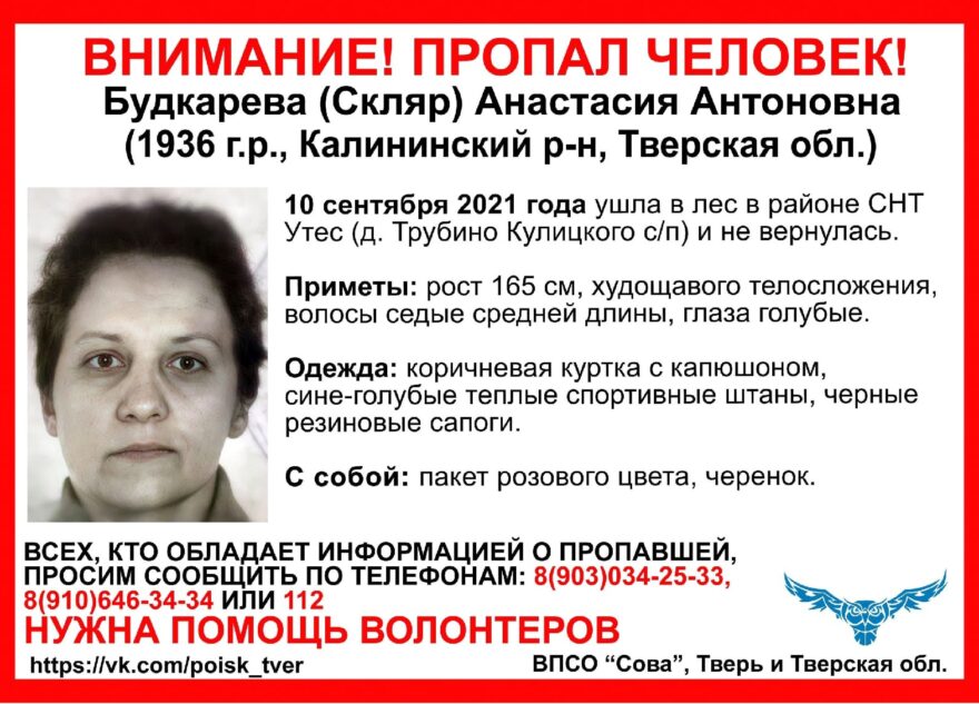 В Тверской области разыскивают пенсионерку, которая ушла в лес и не вернулась В Тверской области разыскивают пенсионерку, которая ушла в лес и не вернулась