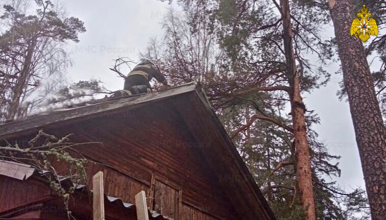 ураган в тверской области сегодня в каких районах. lichnyy sostav pozharno spasatelnoy chasti 39 okazal pomoshch grazhdanam po raspilke upavshih. ураган в тверской области сегодня в каких районах фото. ураган в тверской области сегодня в каких районах-lichnyy sostav pozharno spasatelnoy chasti 39 okazal pomoshch grazhdanam po raspilke upavshih. картинка ураган в тверской области сегодня в каких районах. картинка lichnyy sostav pozharno spasatelnoy chasti 39 okazal pomoshch grazhdanam po raspilke upavshih