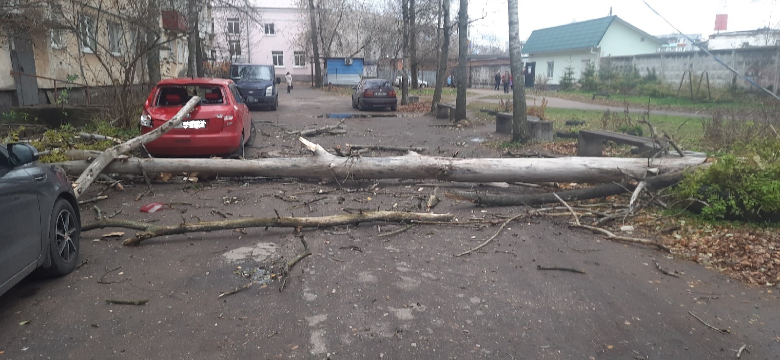 Ураганный ветер сносит всё на своём пути в Тверской области: фото | ТОП  Тверь новости