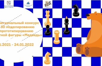 Необычную шахматную фигуру могут придумать в Тверской области