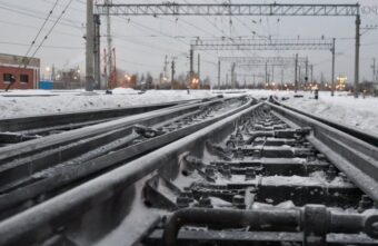 Поезд насмерть сбил лося в Тверской области: проводится проверка