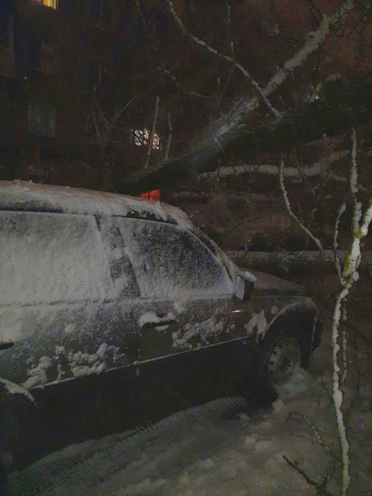 Непогода продолжает крушить машины в Тверской области