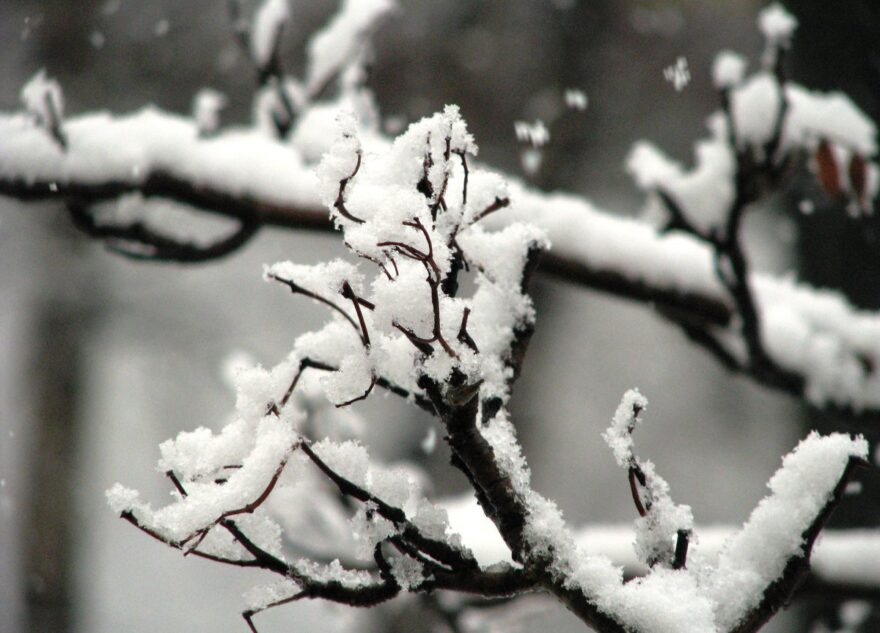 Последний выходной в Тверской области будет солнечным и снежным