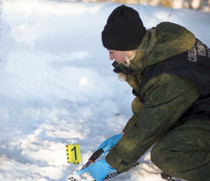 Подозреваемого в убийстве женщины жителя Тверской области взяли под стражу  