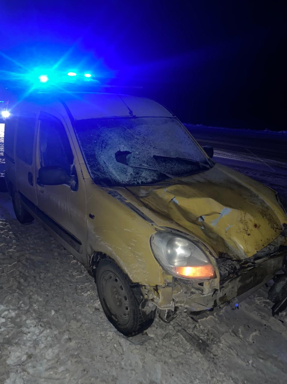 72-летняя бабушка погибла под колёсами иномарки в Тверской области