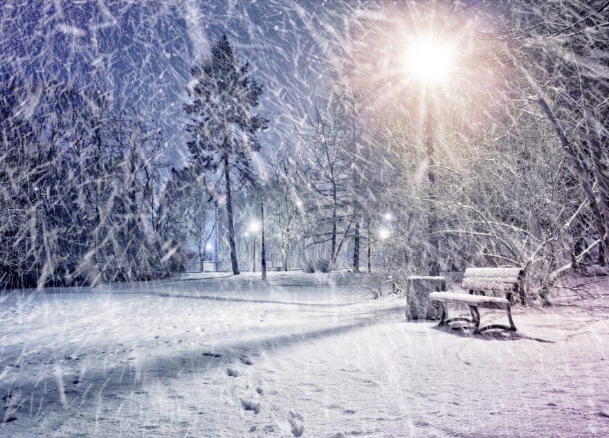 Неделя в Тверской области начнется со снегопадов