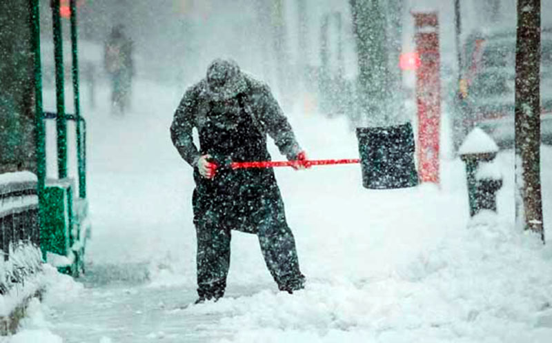До Тверской области добрались Мария и Надя