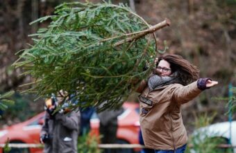 Жителям Тверской области рассказали, куда выносить новогодние ёлки