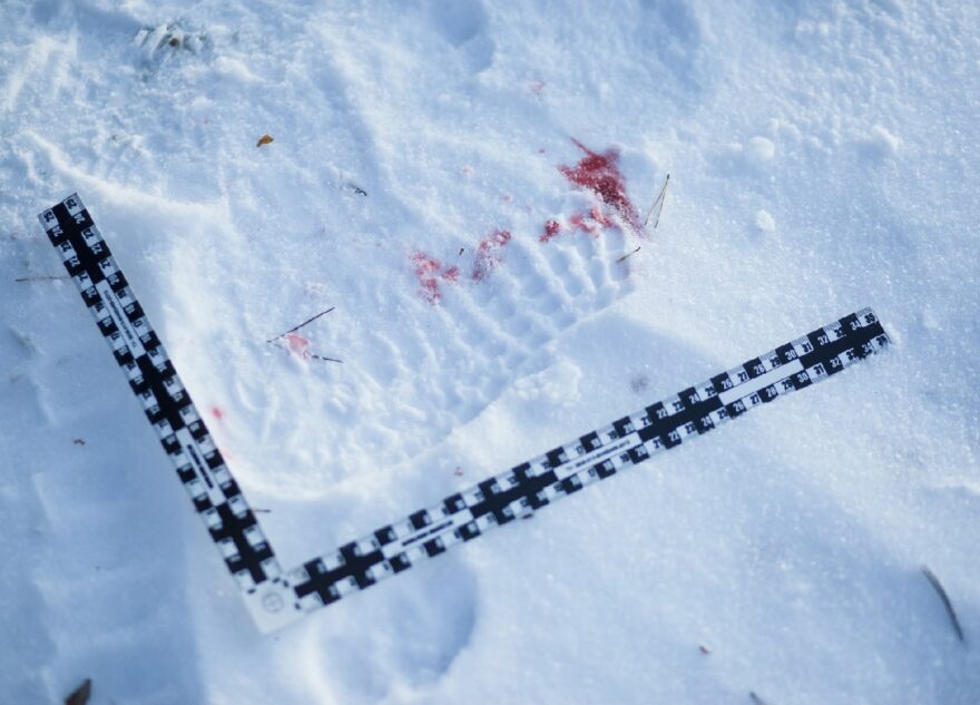 Жителю Тверской области предъявили обвинение в убийстве