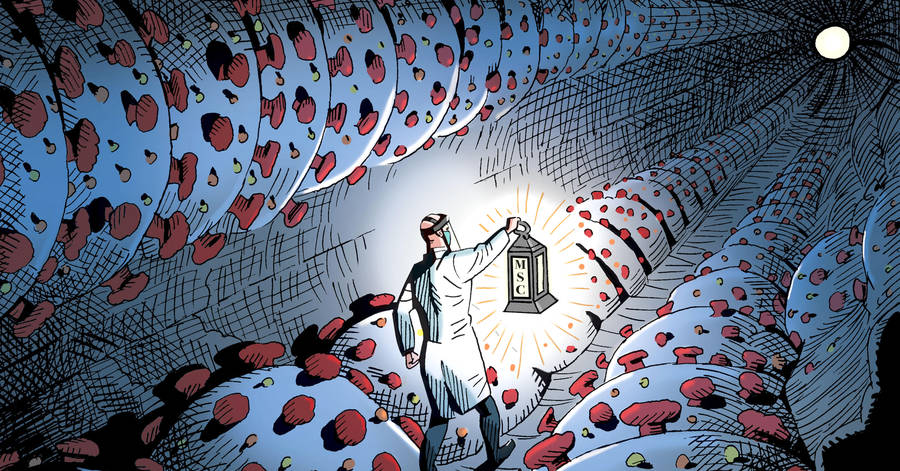 Коронавирус в Тверской области 12 января: ещё 189 человек заразились