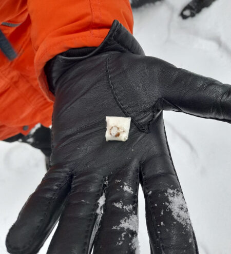 16-летнего "закладчика" наркотиков поймали в Твери