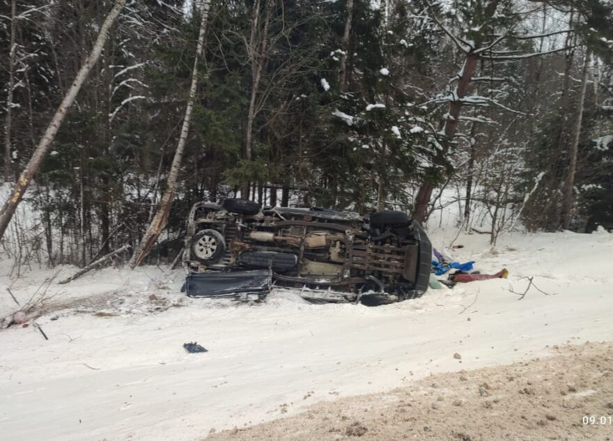 В Тверской области два человека пострадали в ДТП с лосем