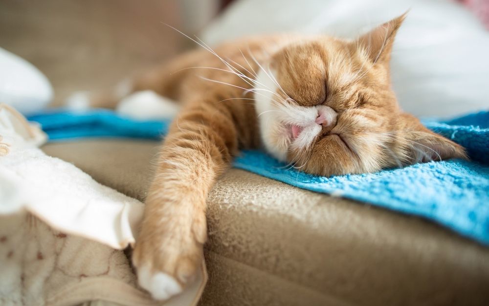 Почти треть 2022 года жители Тверской области будут отдыхать