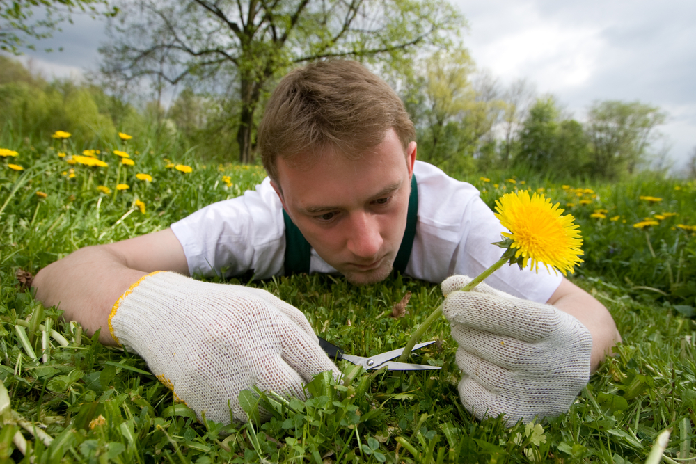 Жители Твери не готовы менять новогодние каникулы на свои отпуска