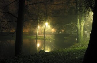 В Тверской области будут судить женщину, промолчавшую о страшном преступлении
