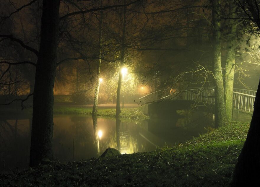 В Тверской области будут судить женщину, промолчавшую о страшном преступлении